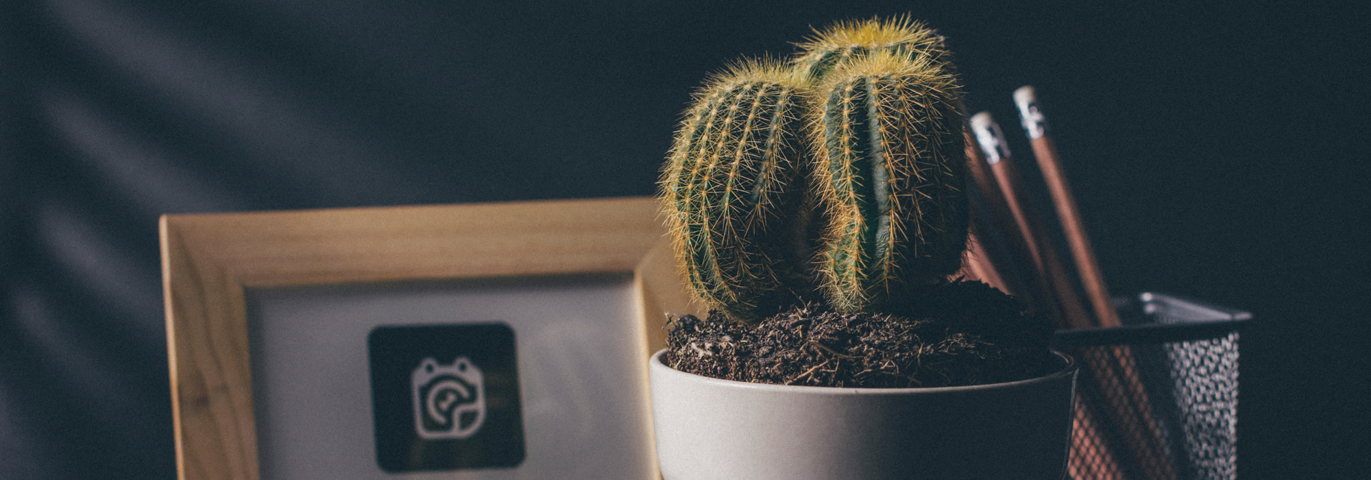 合同会社Desafios